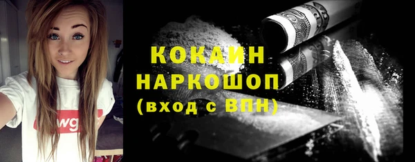 гашик Алексин
