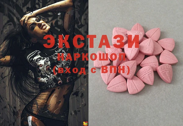 гашик Алексин