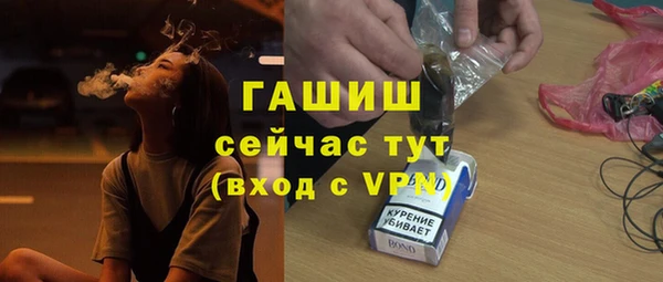 гашик Алексин