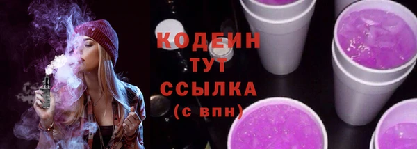 гашик Алексин