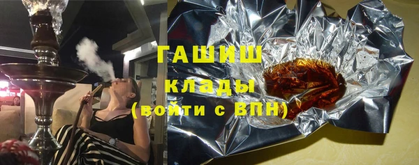 гашик Алексин