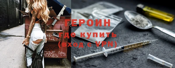 гашик Алексин