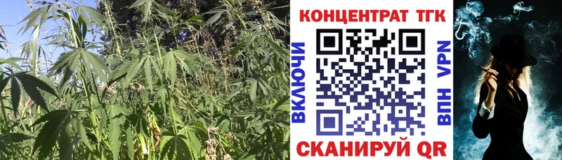 KRAKEN маркетплейс  Дно  Дистиллят ТГК вейп с тгк  что такое наркотик 
