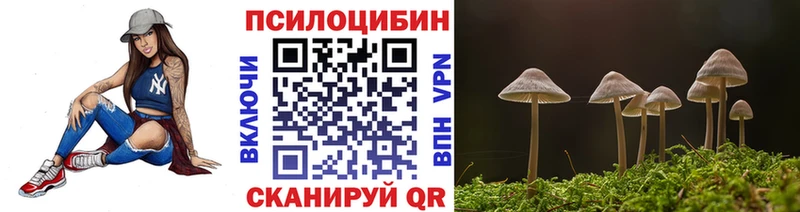 Галлюциногенные грибы прущие грибы  Дно 
